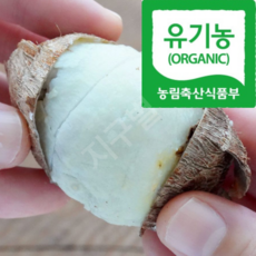 [곡성명품농장직송] 유기퇴비 맛보면단골 특급품질 토란, 1박스, 2kg