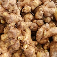 [산지직송] 국내산 영주 흙생강 특품, 1박스, 2kg