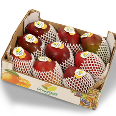 프리미엄 페루 애플망고 달콤한 망고 선물세트 항공직송, 1박스, 애플망고 2kg내외 (4-6과)