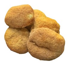 송이뜰 1등급 1차 건조 무농약 국산 노루궁뎅이버섯, 1세트