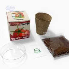 굳초이스 방울토마토 키우기 세트