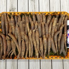 국내산 충남 금산 더덕, 1개, 1kg 모종(약100주)