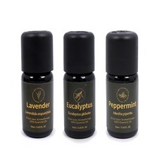 나일 10ml 더허브샵 O&3 에센셜오일 비누에센셜오일, 유칼립투스