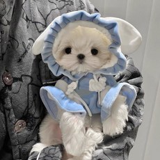 寵物搞怪狐狸變身裝毛絨外套 可愛狗狗連帽衣服 秋冬保暖寵物服飾, 天仙狐狸 淺藍,s背24建議4-5斤左右, 1個