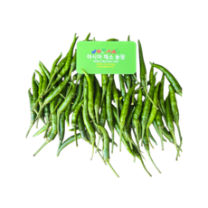 태국 파란고추 100g/베트남고추/ ot xanh /매운 고추/아시아 농장 송소희, 100g, 1개