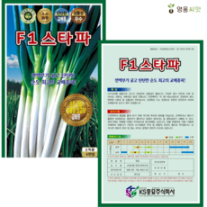 스타 대파 씨(4000립) 종묘 종자 대파 파씨 영웅 KS, 1개