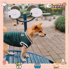 學院風狗狗衣服 針織馬甲 V學院風狗狗貓咪衣服背心 秋冬保暖衣服 刷毛狗狗保暖衣 狗狗衣服 貓咪衣laiwc, 1個, 灰色,M