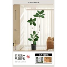 仿真橡皮樹 假植物 客廳輕奢裝飾樹 室內大型盆栽 落地擺件, 1個, 160cm橡皮樹-4頭