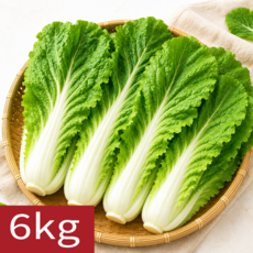 [여수시골농장] 산지직송 국내산 얼갈이배추 특품, 1개, 6kg