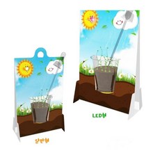 식물생장조건 관찰용 화분 만들기 키우기 5인용 어린이집교구 유아교구 어린이용, 일반형 5인용