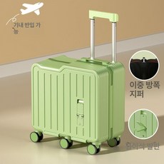 뚜뚜상점가 캐리어 타는 베이비 미니 소형 여행용 캐릭터, 1개, 프루트그린 80kg