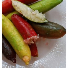 알이 톡톡 상큼한 국내산 핑거라임 캐비어라임, 1개, 냉동 130g