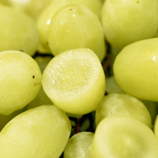 2주한정판매 해외농장 직수입 상큼달콤 애플청포도, 1개, 1kg