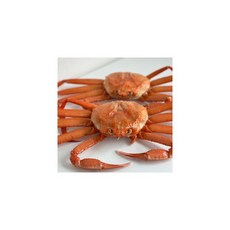 프리미엄자숙홍게3kg내외(8-11미)_공급