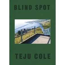 (영문도서) Blind Spot Hardcover, Random House, English, 9780399591075