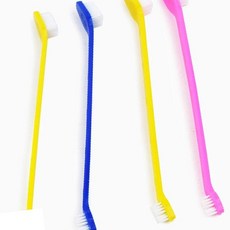 MT5 애견 칫솔 강아지입냄새