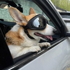 강아지 선글라스 고글 강아지자외선차단, 강아지고글(블랙), 블랙, 1개