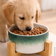 매일발견 강아지식기 그라데이션식기 반려묘물그릇 고양이밥그릇 도자기물그릇, 1