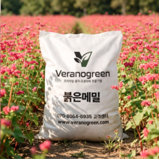 베라노그린 붉은메밀 씨앗 1kg 30평분 경관용 (봄/여름파종) 일년생 홍메밀 적메밀, 1개