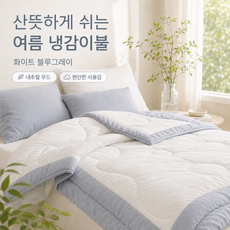 여름 냉감 차렵이불 워싱면 감촉 가벼운 얇은 에어컨이불 부드러운 쿨링 침구, 블루 그레이