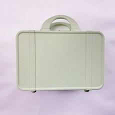 새로운 휴대용 화장품 케이스 14 인치 여행 보관 고급 휴대용 소형 수하물 가방 손 선물, B 평행봉 연두색 여행용 케이스