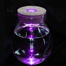 많이03 마리모 키우기 LED 유리병 12x13cm 코르크병