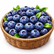 [재구매율1위] 국산 생 블루베리 고당도 선별 최상품 디아머스, 1개, 600g (특대과)