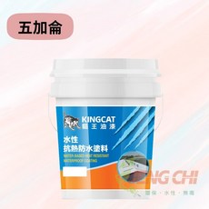 正漆 K1-206 亮光型抗熱防水塗料 5加侖 水泥面/矽酸鈣板/石棉瓦適用, 1桶
