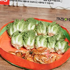 (올핀) 김장매트 절임매트 원터치 다용도매트, 중