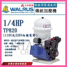 大井泵浦 TP820 1/4HP 塑鋼加壓機 溫控無水斷電, 1個, TP820PT(110V)