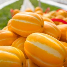 기타 가정용 성주참외 로얄과 1kg(2-5과 내외), 1박스, 1kg