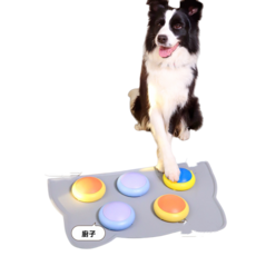 狗狗益智玩具三角形墊子 - 可組裝寵物互動玩具 - 訓練認知能力 - 安全無毒材質, 錄音款1, 1個