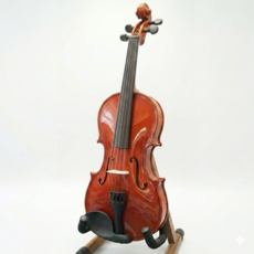 BV50 4/4 小提琴, 1/2, 1個