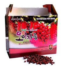 오미자즙 100ml 오미자진액 좋은 원료로 오미자의 진한맛을 낸 사은품(10)포 자사제품 증정 한방건강마을, 60포