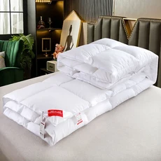 북유럽 슈퍼 따뜻한 겨울 담요 5 성급 호텔 이불 킹 퀸 더블 트윈 사이즈, 150x200cm 4kg, 02