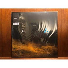 沐耳 波蘭新銳鋼琴家 Hania Rani Ghosts 第六張專輯 雙黑膠唱片 Gondwana發行