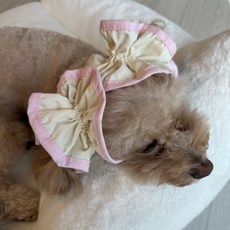 스카이몰 강아지 이어슈슈, 1개, 라인핑크