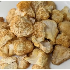 부안에서 직접 재배하고 말린 건 노루궁뎅이버섯 100g, 1
