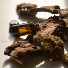 드오디네 시그니처 에센셜오일 3종, 1개, 10ml, 쏠레일