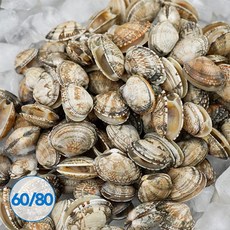 냉동 바지락 5kg 피바지락 업소용 조개 칼국수, 1개, 단품