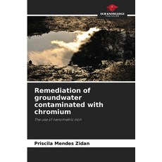 (영문도서)Remediation of groundwater contaminated with chromium Paperback, Our Knowledge Publishing, English, 9786209094927