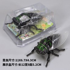 태엽 장난감 사슴벌레 곤충 모형 리얼 크롤링 움직임 장난감 재미 놀이용, 태엽으로 작동하는 여름 매미 [짙은 녹색] PVC 상자