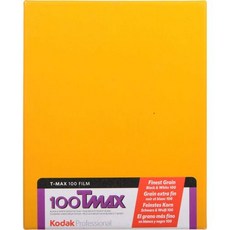 Kodak 전문가용 흑백 필름 T-MAX 100 4x5 10장 1006873
