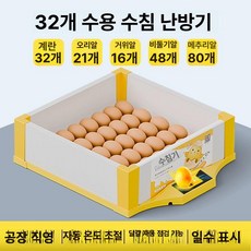 병아리 부화기 메추리 자동 사육장 키우기 싱글 유정란 육추기, 1개, 32알 조합 수조 단일 전원 알 투과기