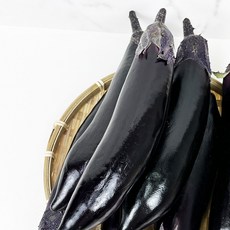 국내산 햇가지 생가지 제철가지 가지 가지볶음, 5개, 약650g내외