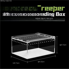 파충류 유리 사육장 게코 도마뱀 크레스티드게코 온도조절 투명 하우스 테라리움 키우기 용품, 1개, 중형 테라리움 20x15x10cm