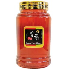 지리산 산청 자연산 야생잡화꽃 사양벌꿀, 2.4kg, 1개