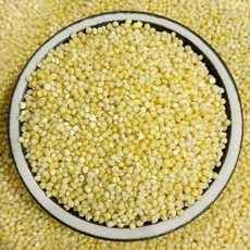 수입 기장 (미국산) 기장쌀 좁쌀 2025년산, 500g, 1개