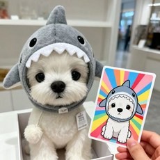 다바 강아지 고양이 상어 모자 귀여운 동물 모자, 1개, 그레이
