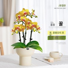 가짜꽃 호접란 카페 인테리어 식물 탁상용 난초, 화분 포함, 챔피언 컵 허니 4줄기